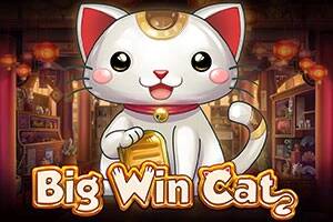 Big Win Cat