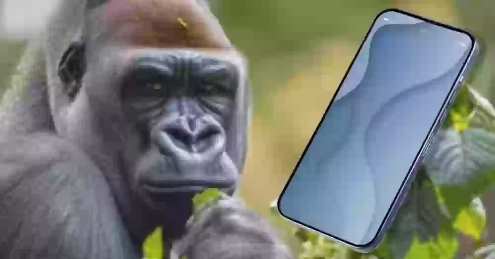 Почему в смартфонах все реже встречается стекло Gorilla Glass. Это хитрый план, за который платим мы